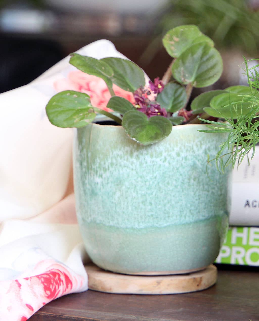 Jewel Teacup Planter, Crystal Green Mist