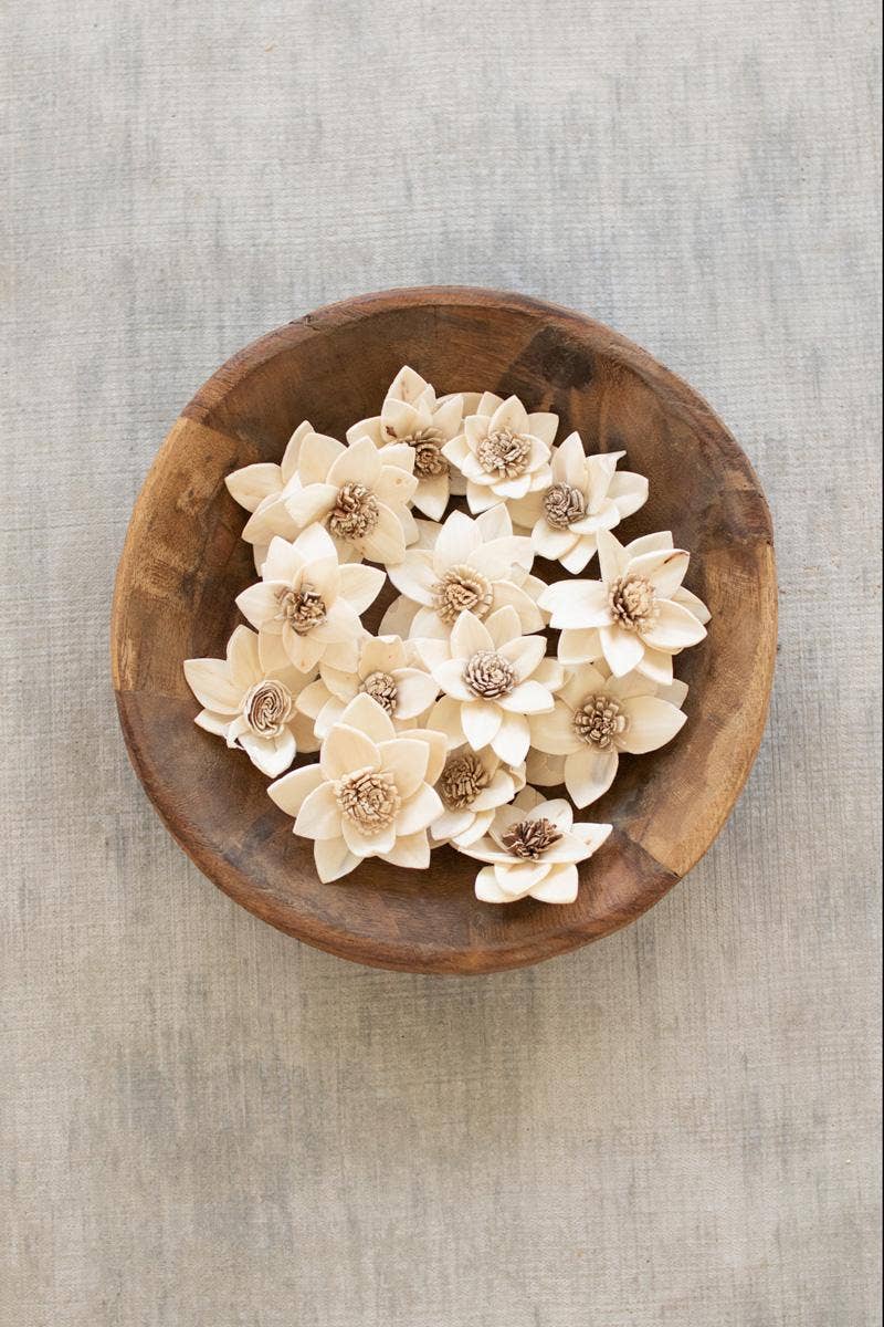 DRIED RUKMANI FLOWERS - BAG OF 16: White / Dried Botanical / 2.5"d