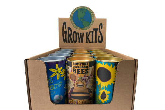 Blooms for Butterflies Case Pack | 12 Grow Kits w/ Display
