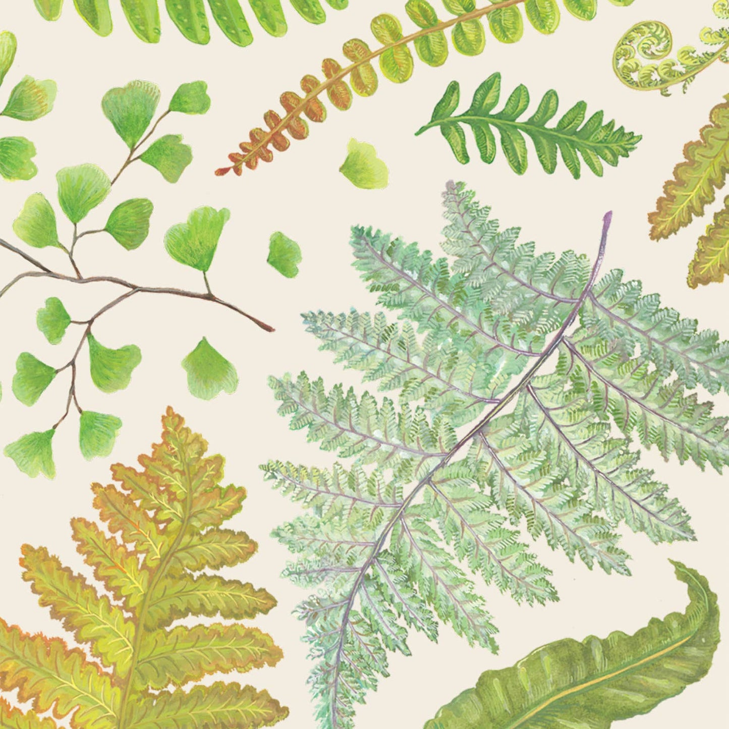 Fern Cocktail Napkin - Pack of 20