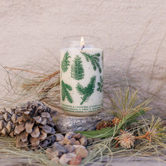 Evergreens & Conifers Soy Candle - Forest Floor Collection
