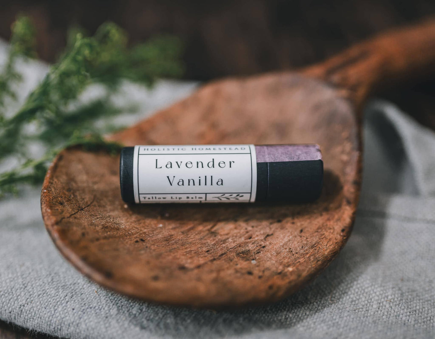 Herbal Lip Balm : Dandelion Orange