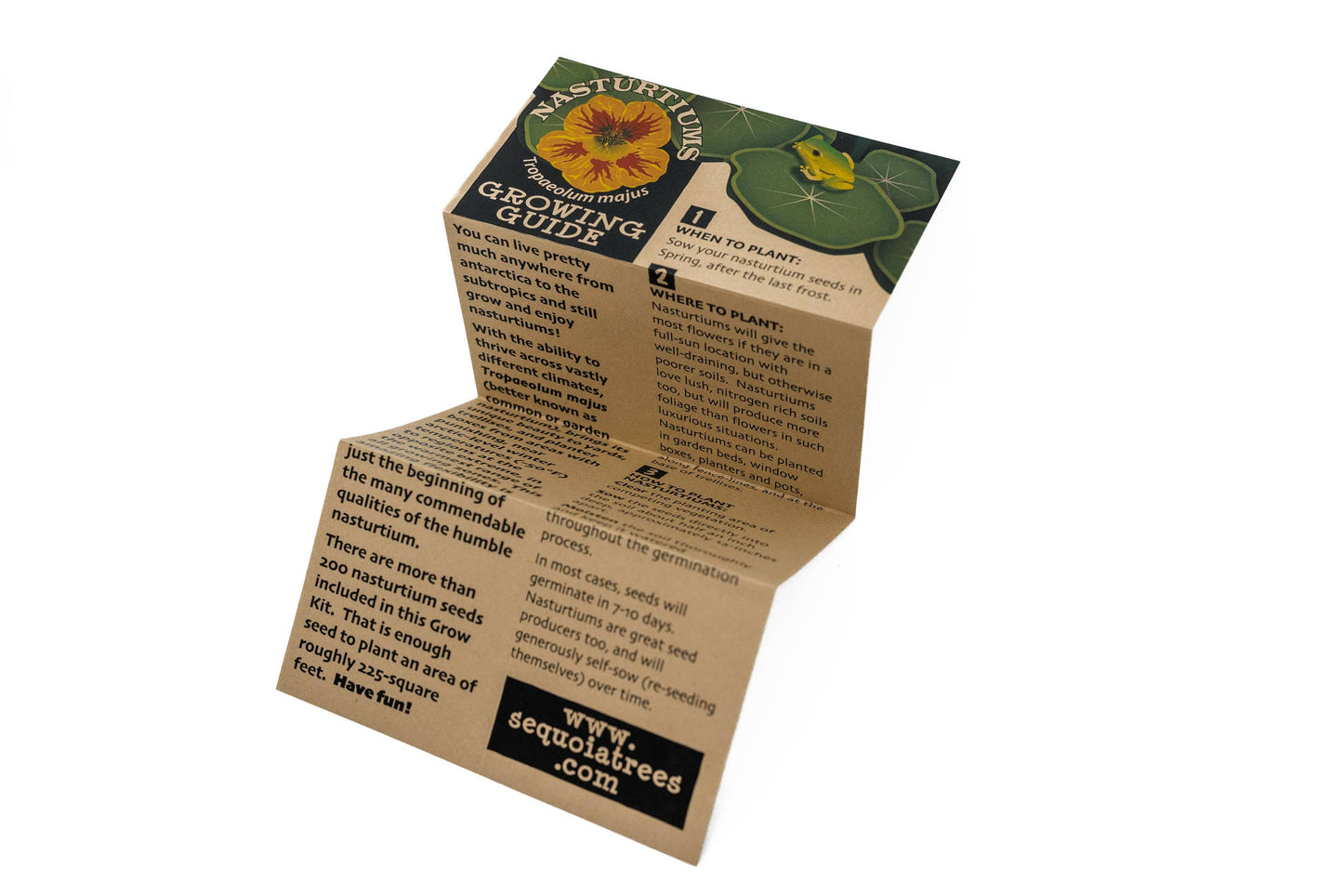 Nasturtium | Flower Seed Grow Kit