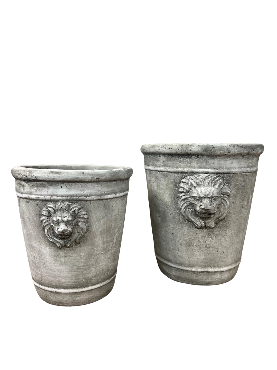Cement Lion Planter: Medium