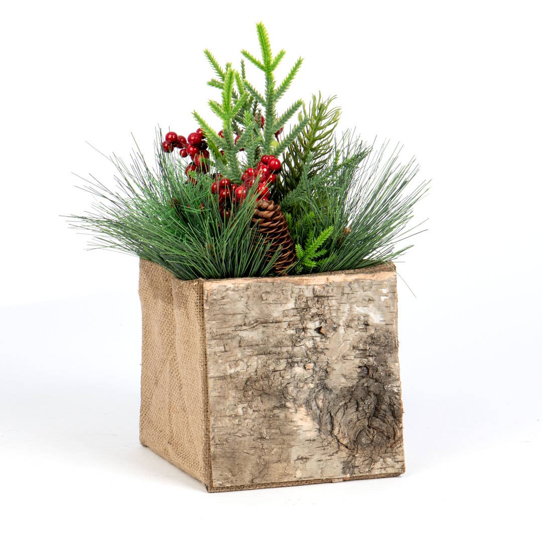 SQ BURLAP/BIRCH BOX