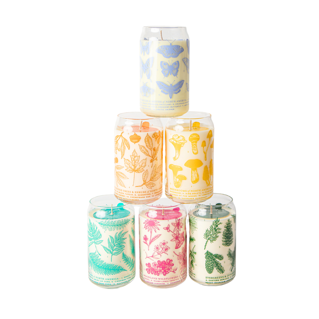 Evergreens & Conifers Soy Candle - Forest Floor Collection