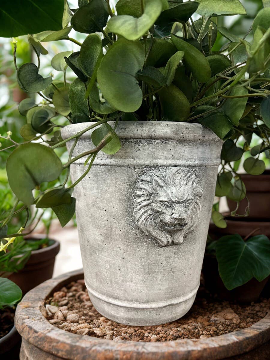 Cement Lion Planter: Medium