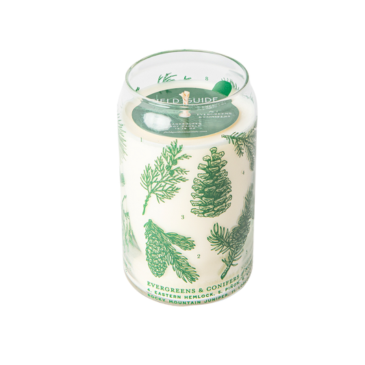 Evergreens & Conifers Soy Candle - Forest Floor Collection
