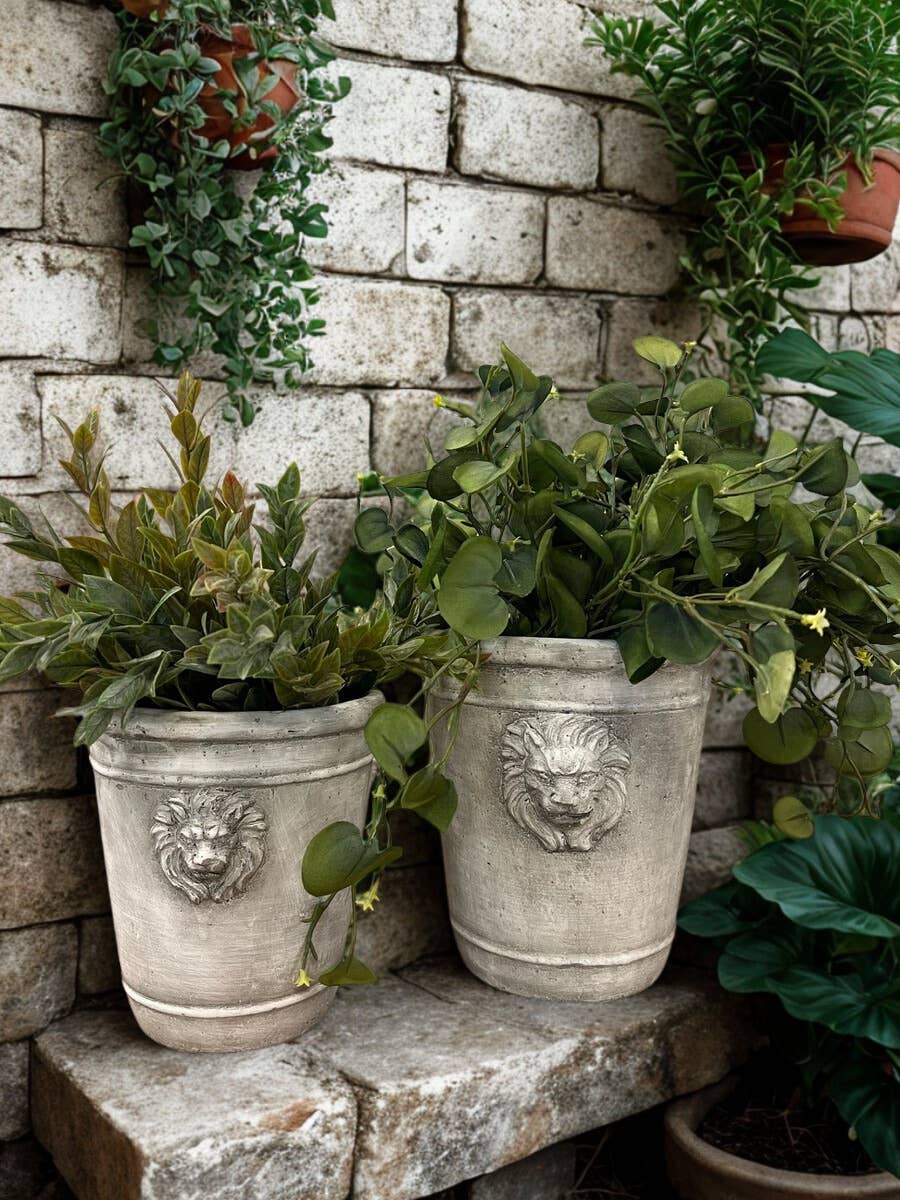 Cement Lion Planter: Medium