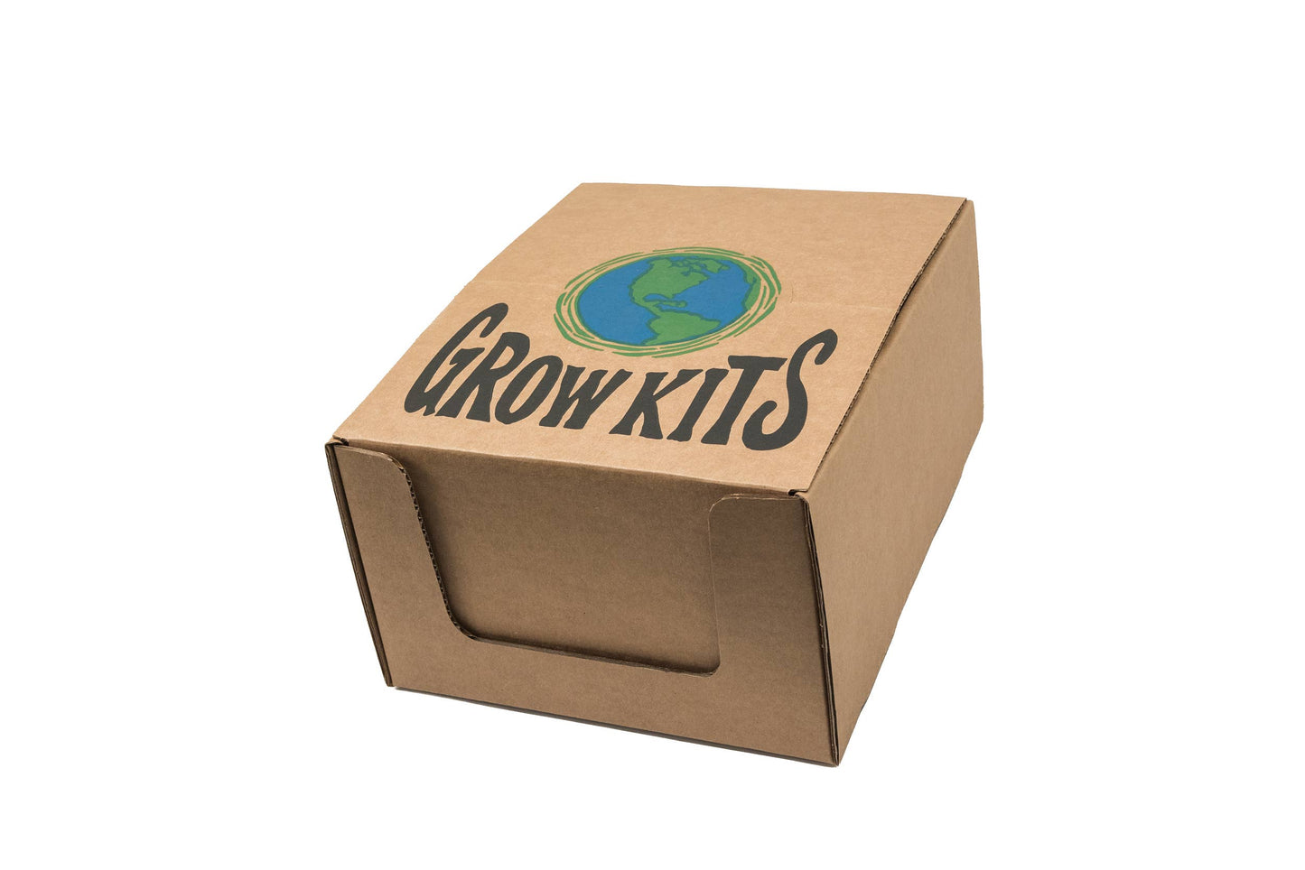 Blooms for Butterflies Case Pack | 12 Grow Kits w/ Display