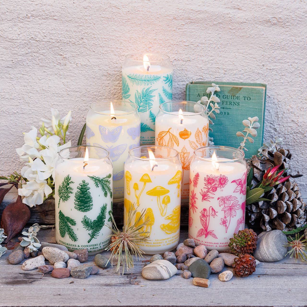 Evergreens & Conifers Soy Candle - Forest Floor Collection
