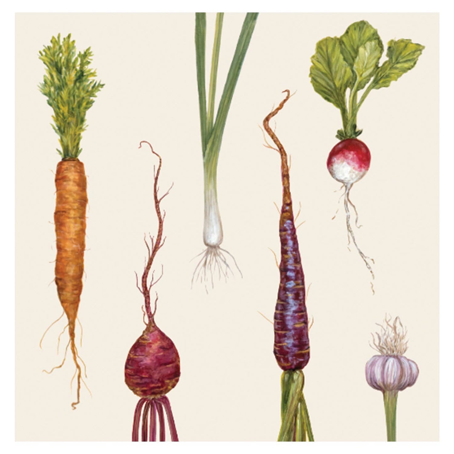 Farmers' Market Cocktail Napkin - Pack Of 20